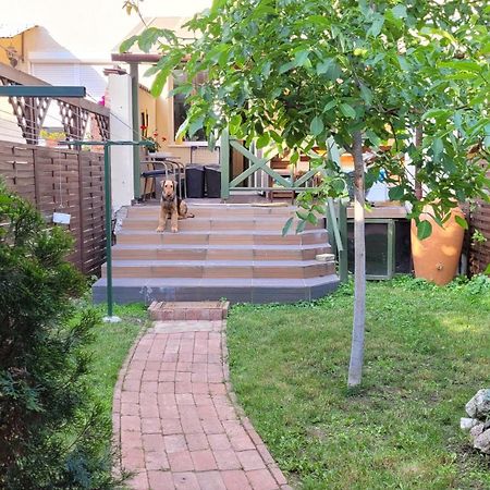 Tulip Home Guest House Vác Екстериор снимка