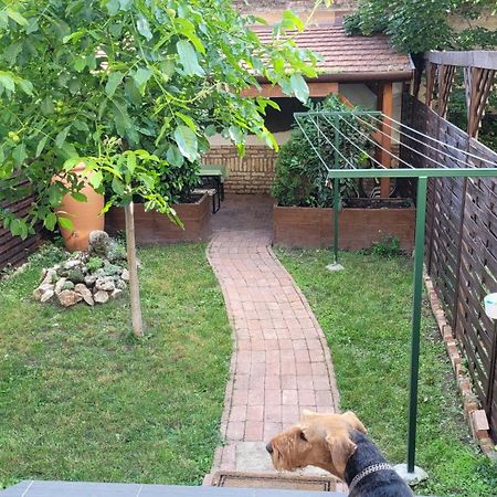 Tulip Home Guest House Vác Екстериор снимка