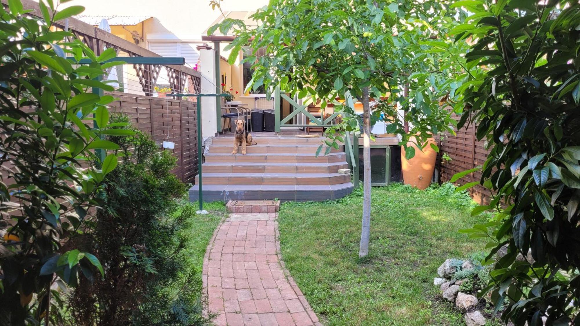 Tulip Home Guest House Vác Екстериор снимка